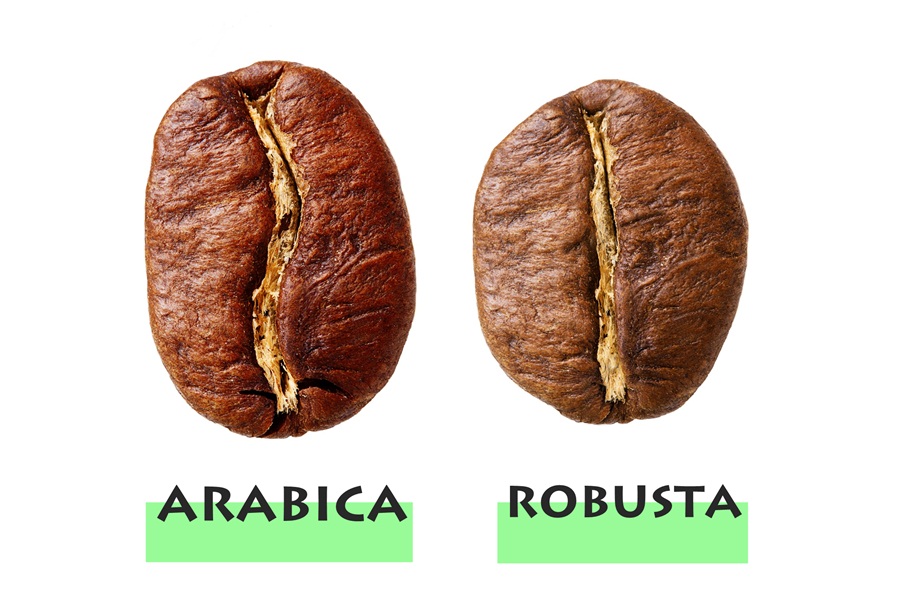 Cà phê Arabica - Robusta